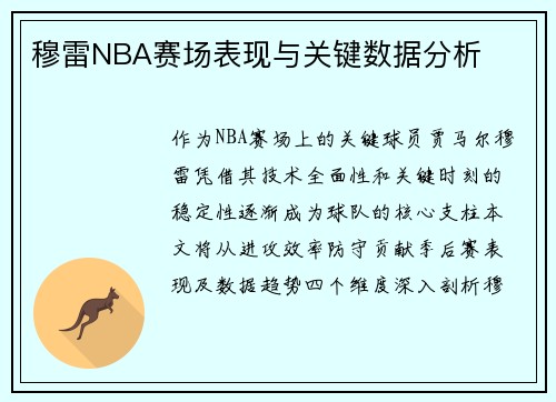 穆雷NBA赛场表现与关键数据分析