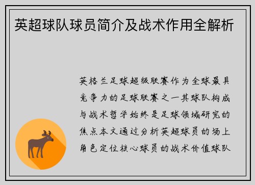 英超球队球员简介及战术作用全解析